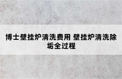 博士壁挂炉清洗费用 壁挂炉清洗除垢全过程